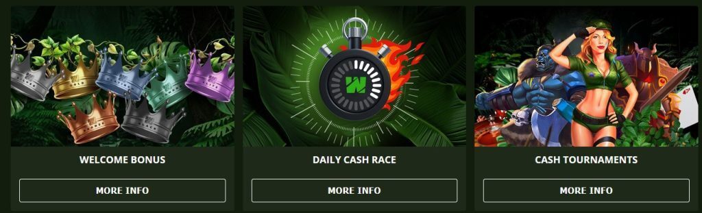 wild casino promos
