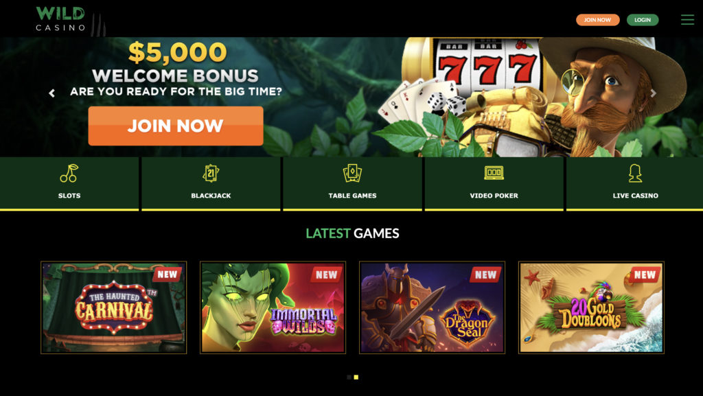 Wild Casino Screenshot