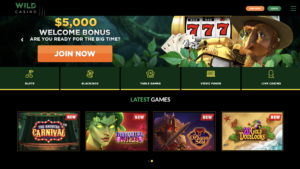 Wild Casino Screenshot