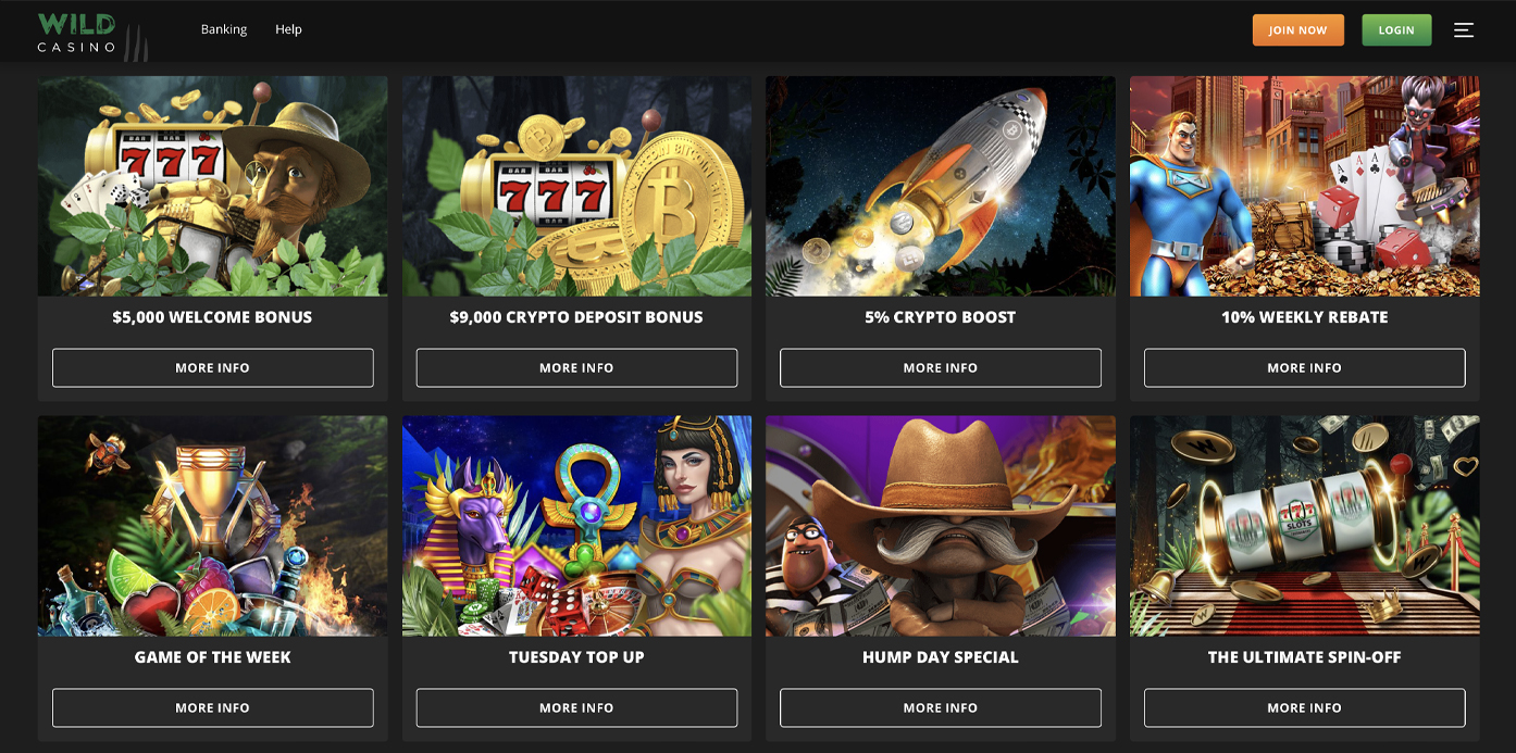 Wild Casino Bonuses