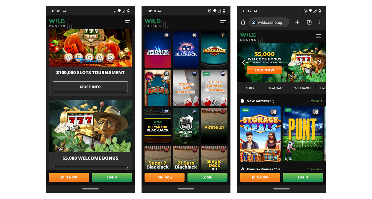 Wild Casino Review Bonuses Games Real Money Insights