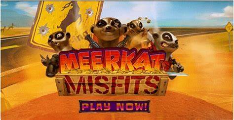 Meerkat Misfits
