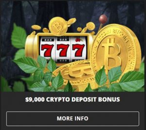 wild casino bonus page