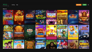 Wild Casino Slot Games