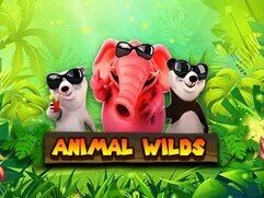 animal wilds