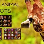 animal slots