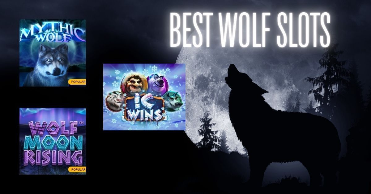 Wild Wolf Play for free now! No download needed!
