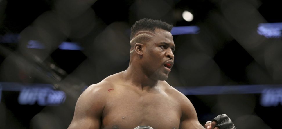 francis ngannou