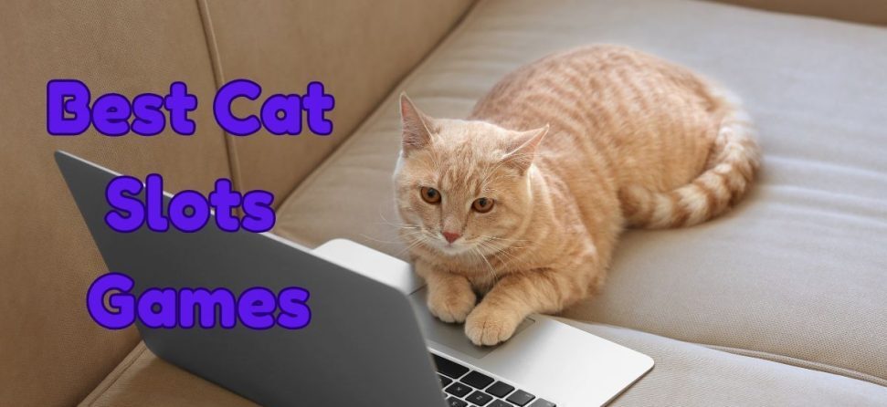 cat slots
