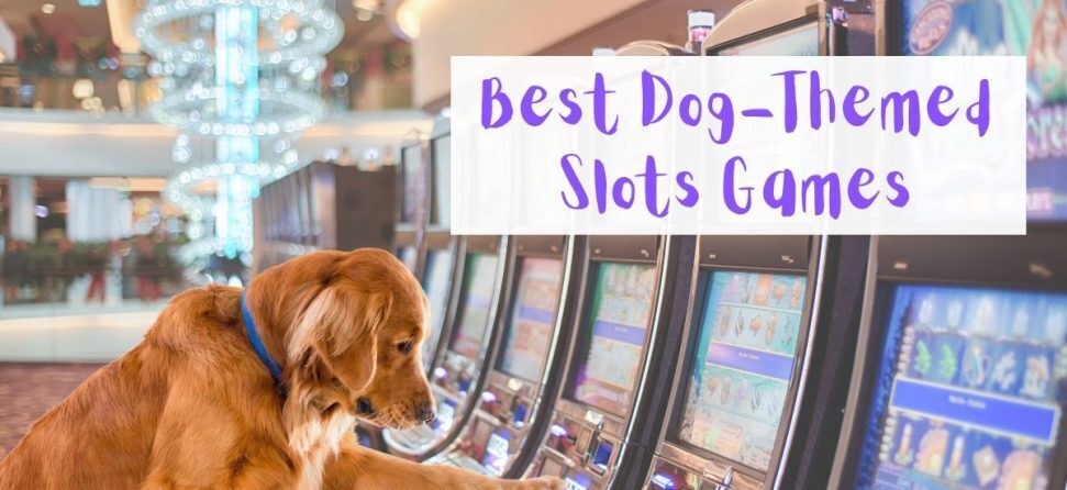 dog themed slots