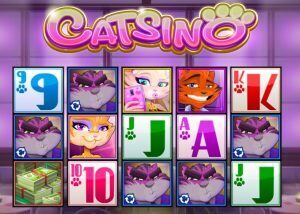 catsino slot