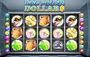 dog pound dollars