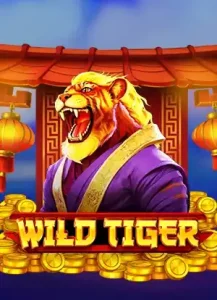 wild-tiger-bgaming