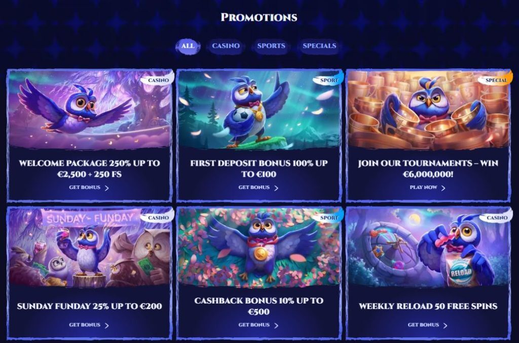 spinight promotions