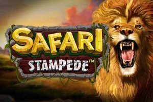 Safari Stampede Logo