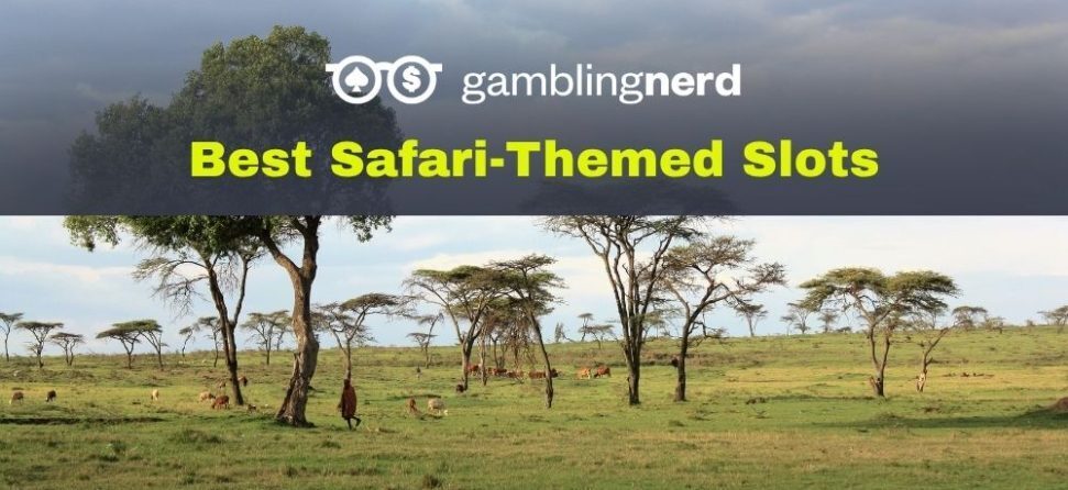 Safari Slots blog