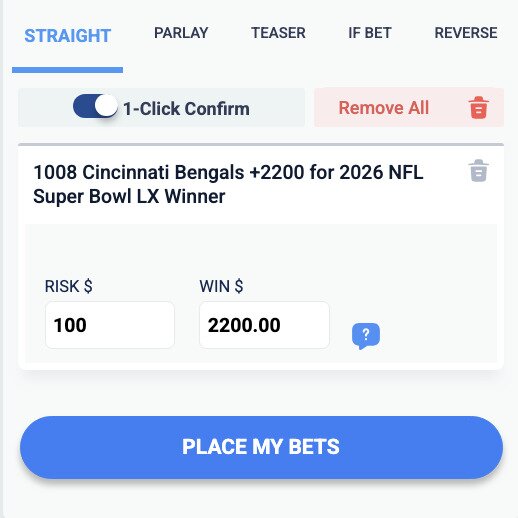 betus super bowl wager