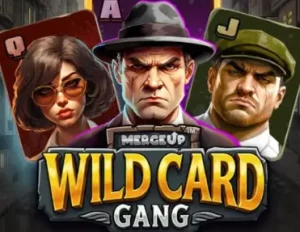 wild card gang logo