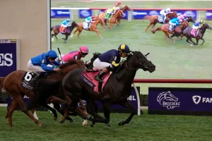 Breeders' Cup Mile horse race in Del Mar, California