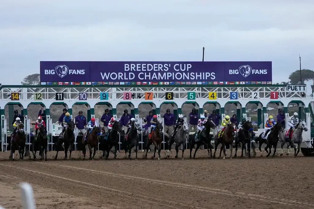Riders compete in the Breeders' Cup Dirt Mile horse race