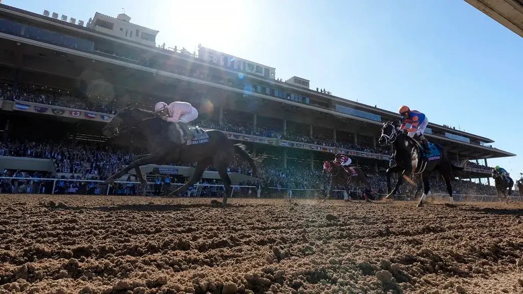 Breeders' cup race