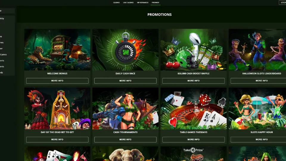 Wild Casino Promotions 2