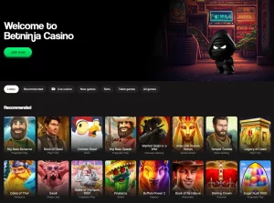 bet ninja homepage