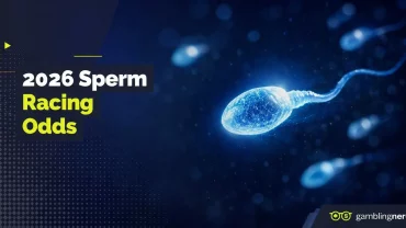 sperm racing odds