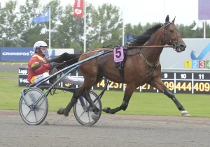 Man and horse participate in Trotting race