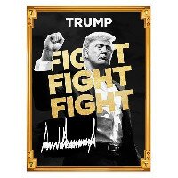 Trump Meme Coin