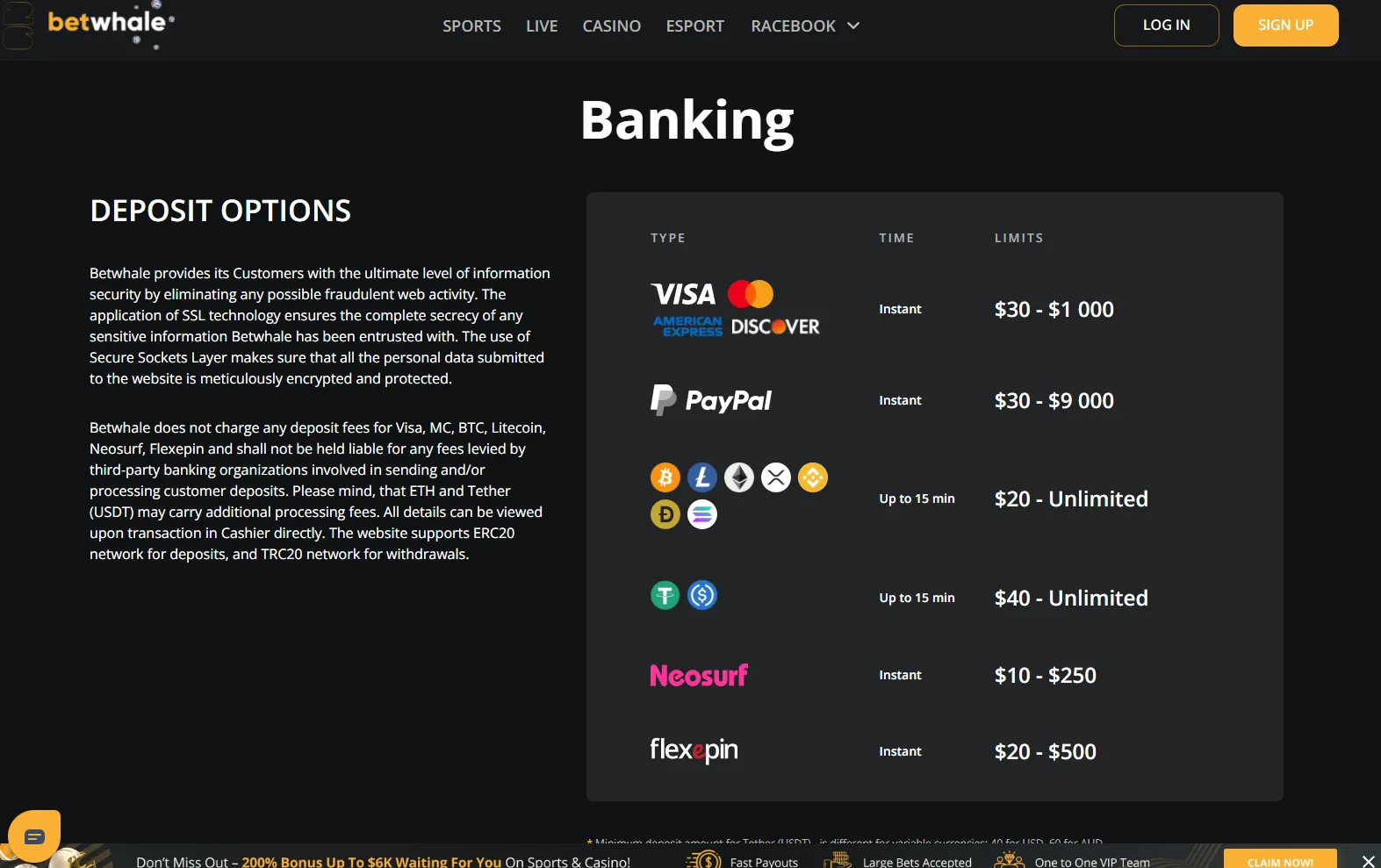 BetWhale banking 3