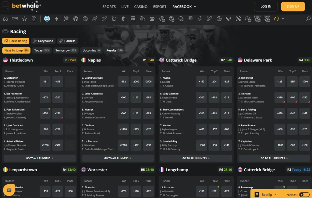 BetWhale racebook