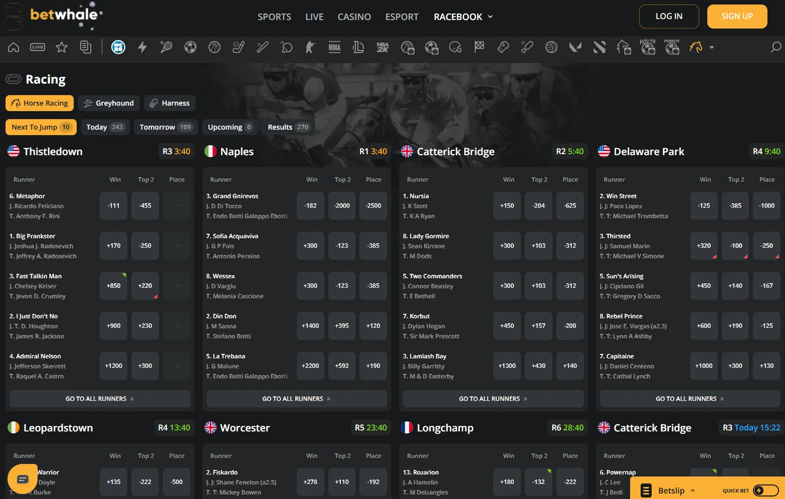 BetWhale racebook 8