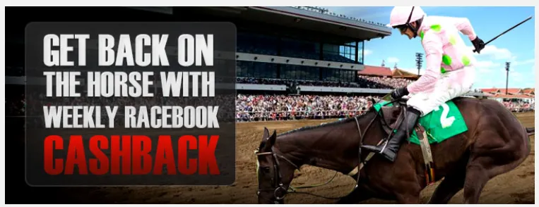wagerweb racebook