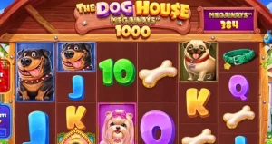 dog house megaways 1000