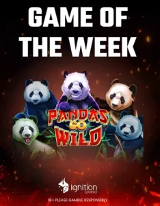 ignition pandas go wild
