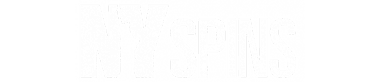NYSpins Logo