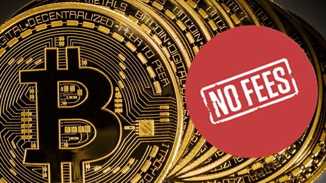 Bitcoins Stacked, No Fees Sticker