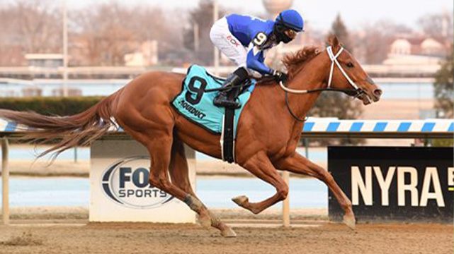 horse racing