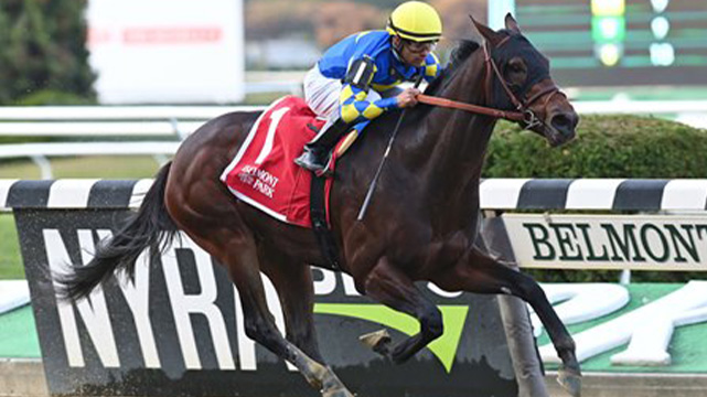 horse racing