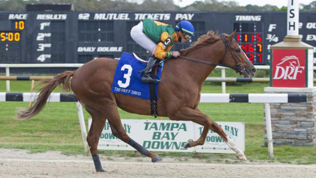horse racing