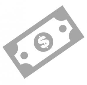 Money Icon