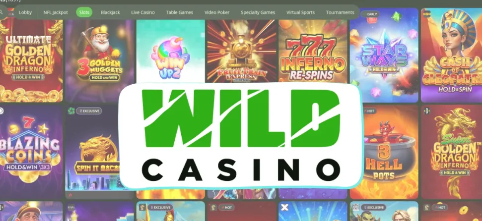 wild casino slots games