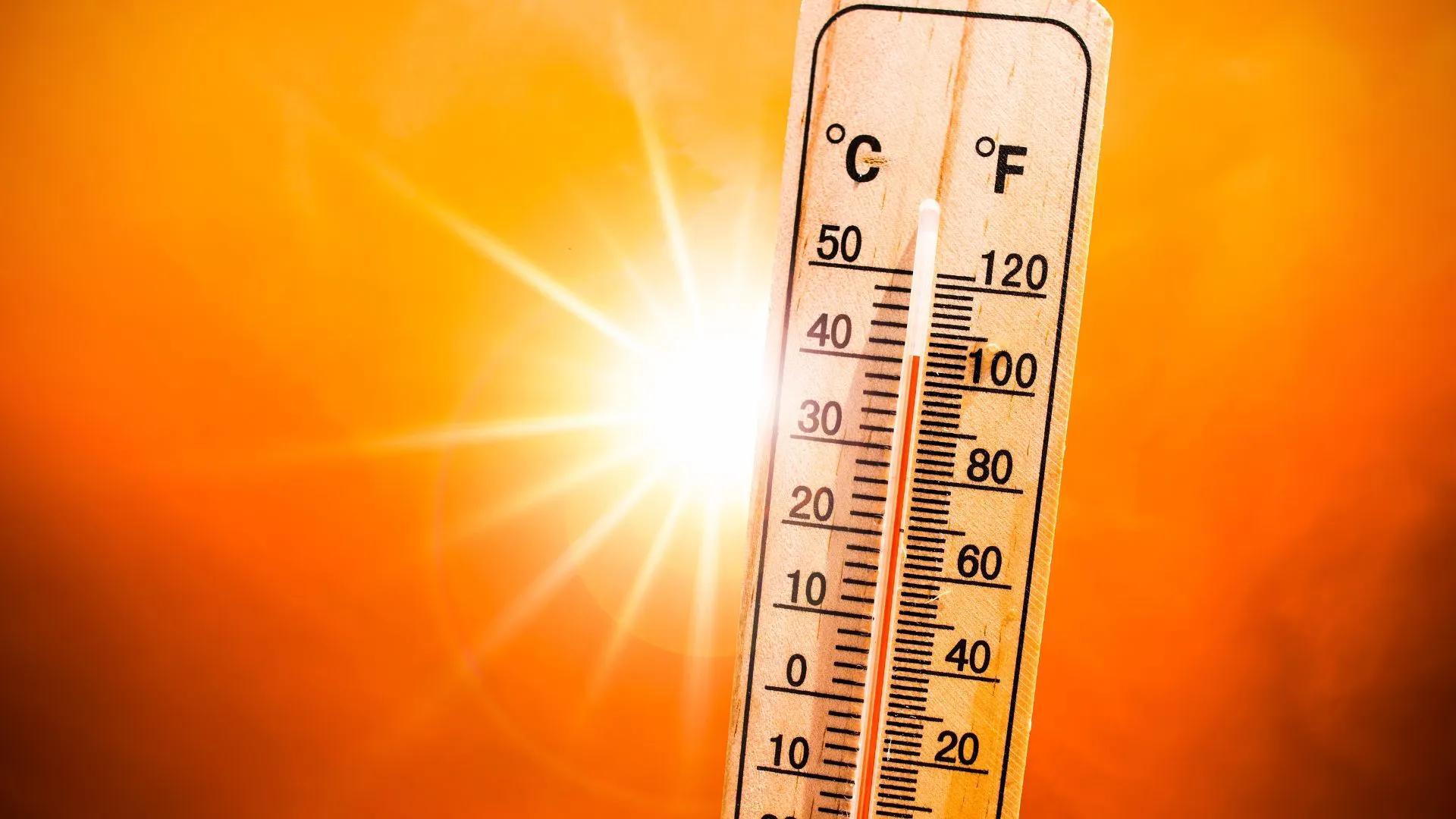 thermometer in the heat