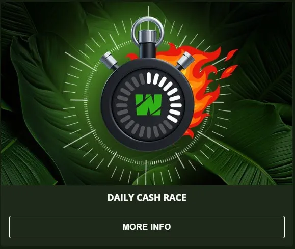 Wild Casino Review | Bonuses, Games & Real Money Insights
