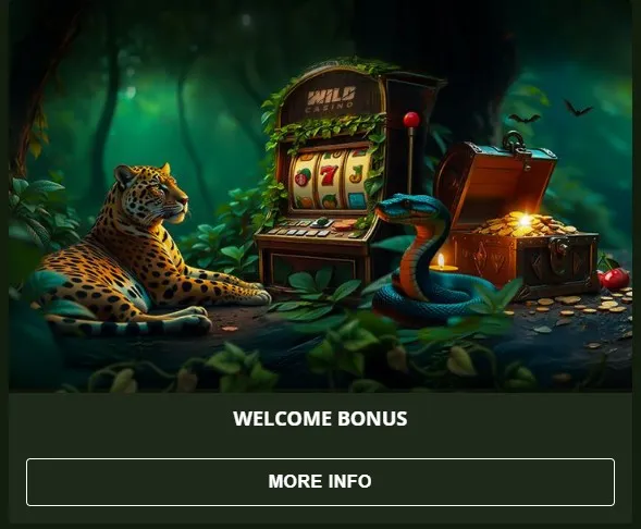 Wild Casino Welcome Bonus 1