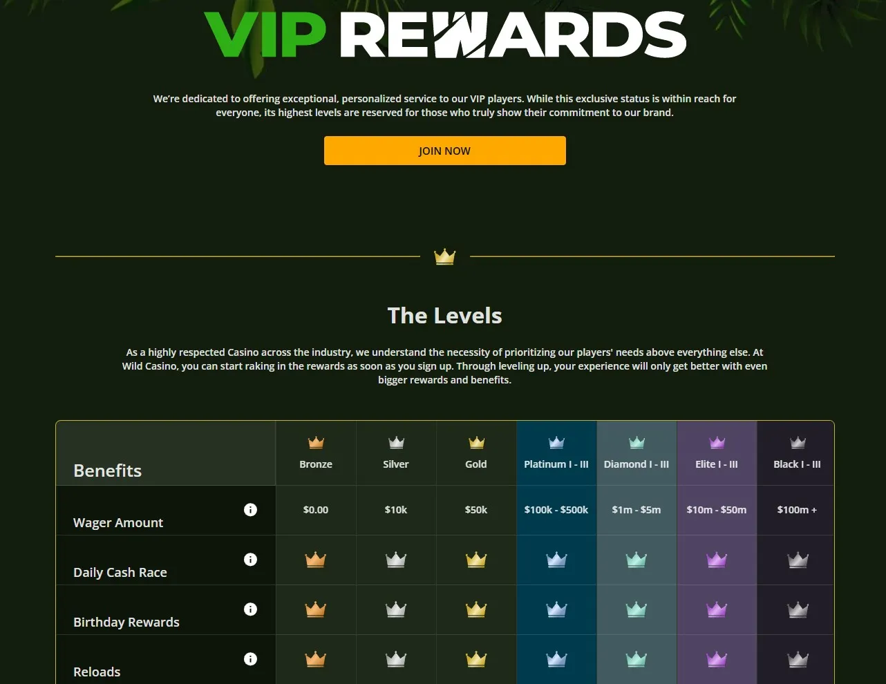 Wild Casino vip 4
