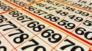Bingo RTP