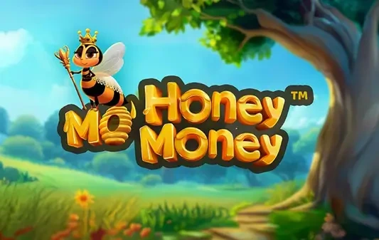 mo honey mo money