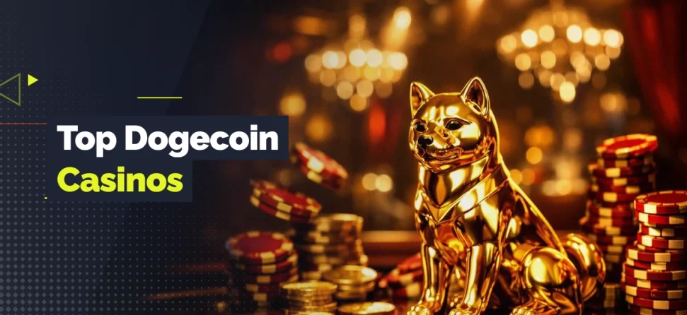 Banner for top Dogecoin casinos featuring a gold Dogecoin-style dog statue surrounded by poker chips and coins in a casino setting.